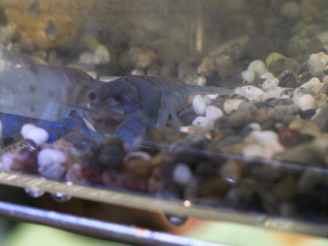 img0027.jpg
