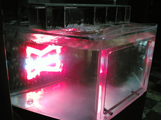 img0051.jpg