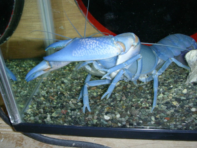 img0099.jpg