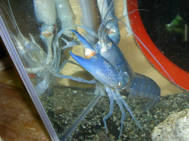 img0102.jpg