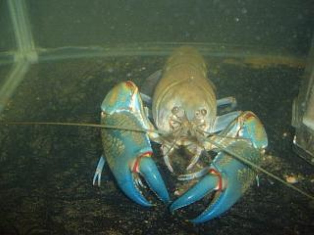 img0110.jpg