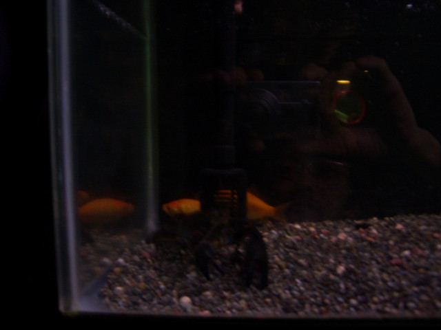 img0140.jpg