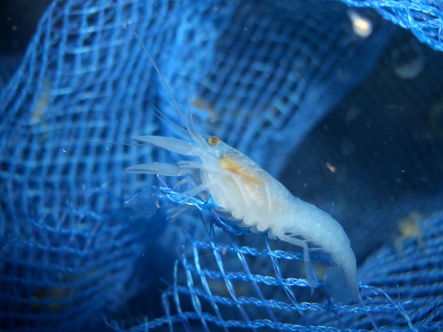 img0152.jpg