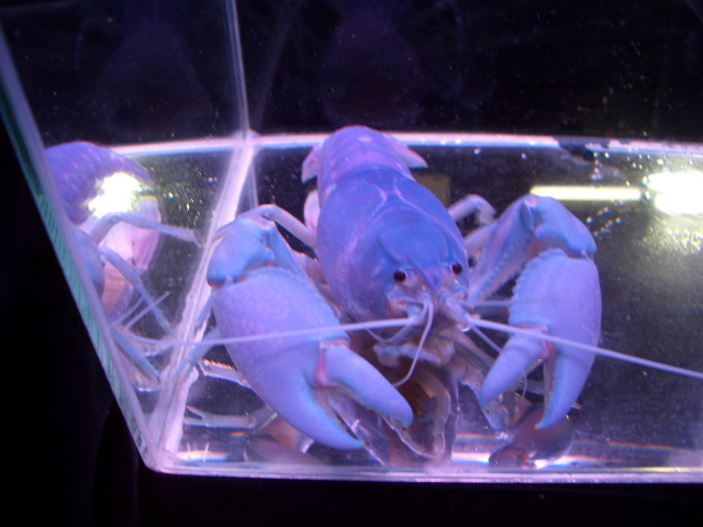 img0157.jpg