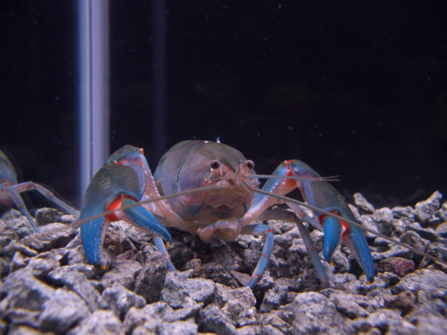img0268.jpg