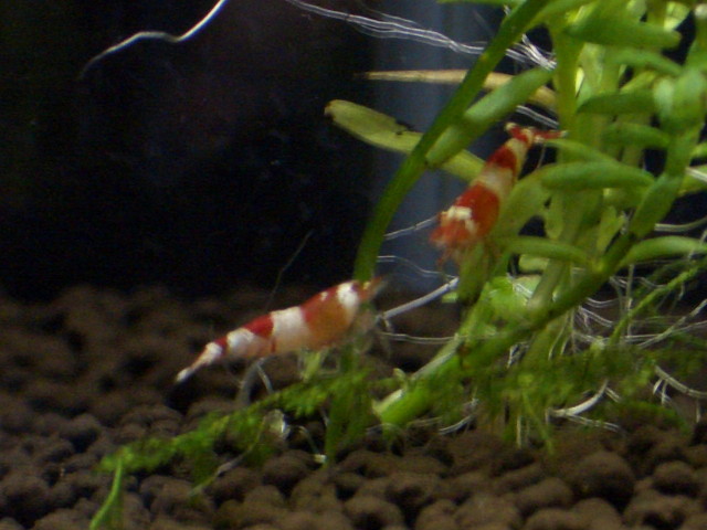 img0289.jpg