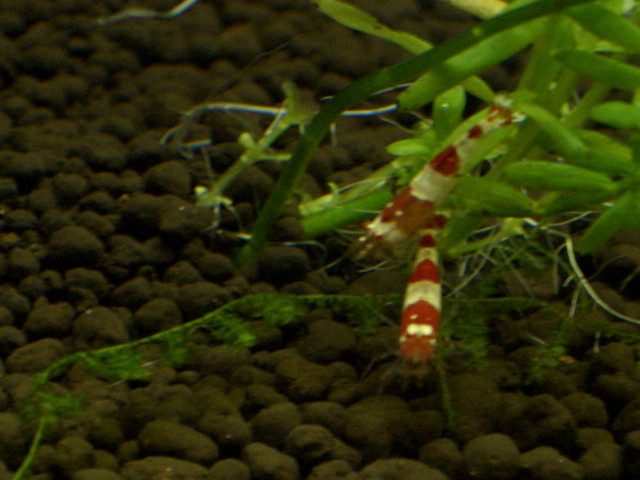 img0301.jpg