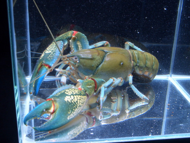 img0318.jpg