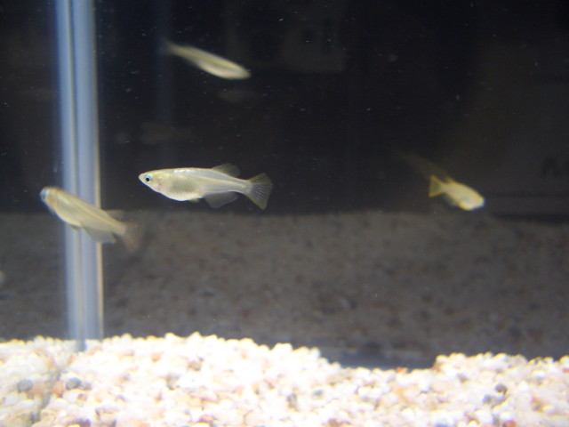 img0342.jpg