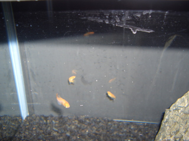 img0406.jpg