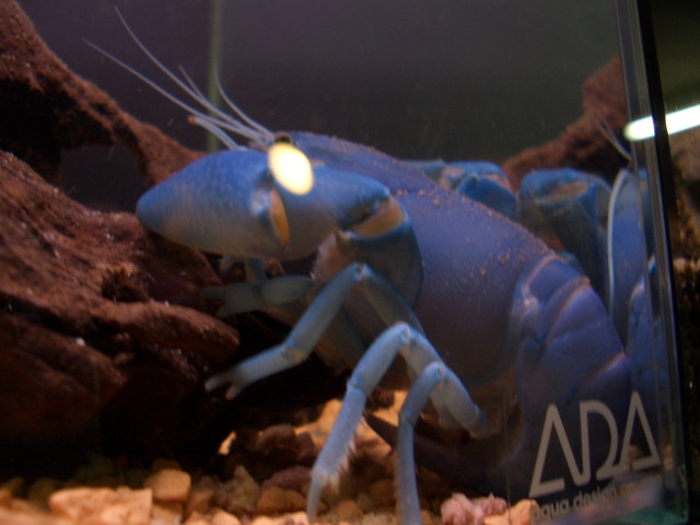 img0414.jpg