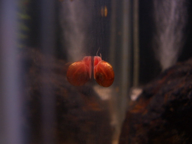 img0421.jpg