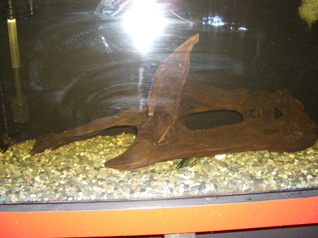img0425.jpg