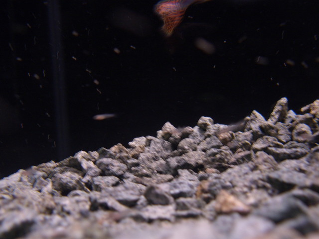 img0532.jpg