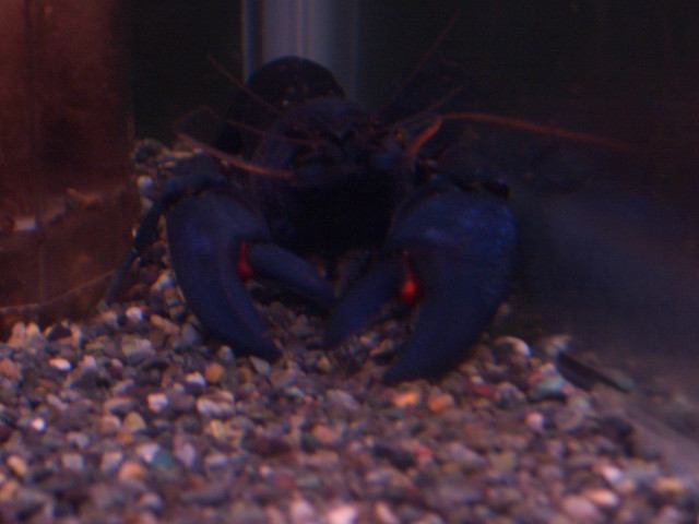img0546.jpg