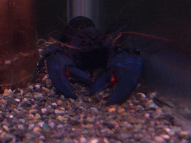 img0547.jpg