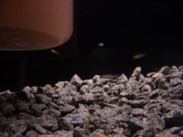 img0562.jpg