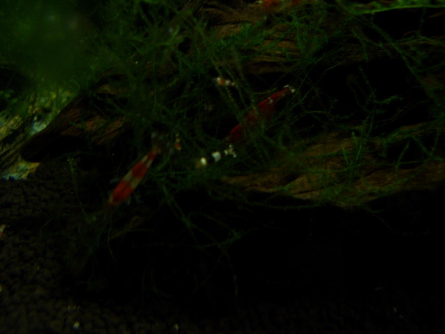 img0576.jpg