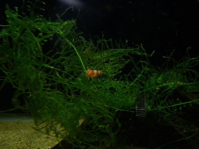 img0582.jpg