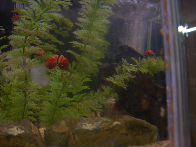 img0596.jpg