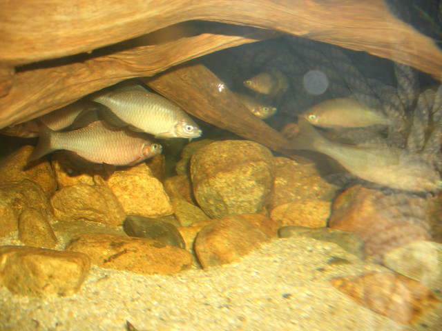 img0618.jpg