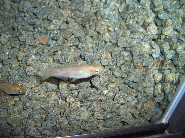 img0646.jpg