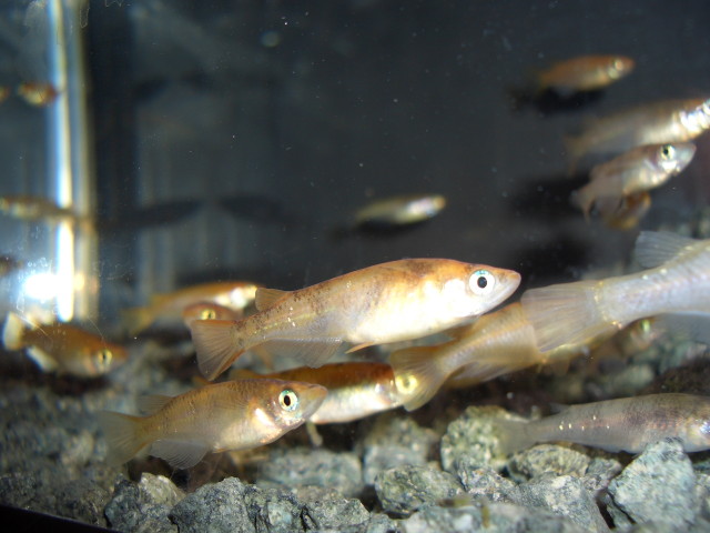 img0648.jpg