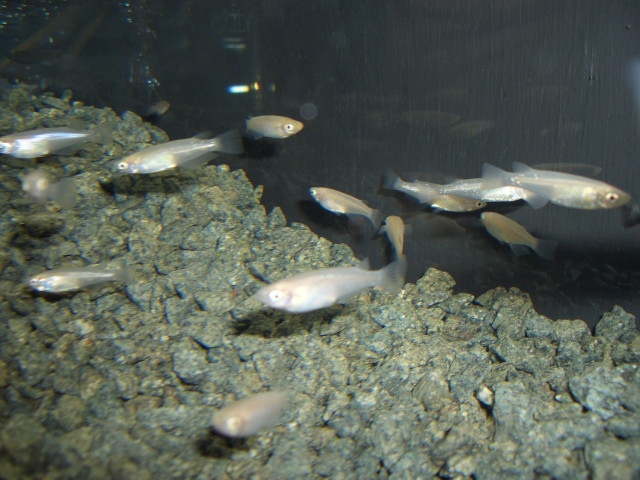 img0652.jpg