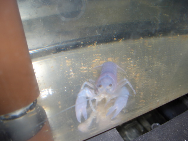 img0671.jpg