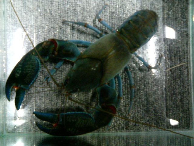 img0757.jpg