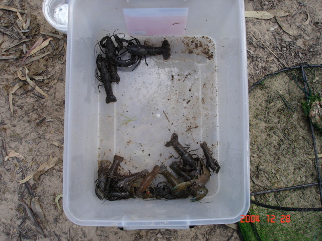 img0786.jpg