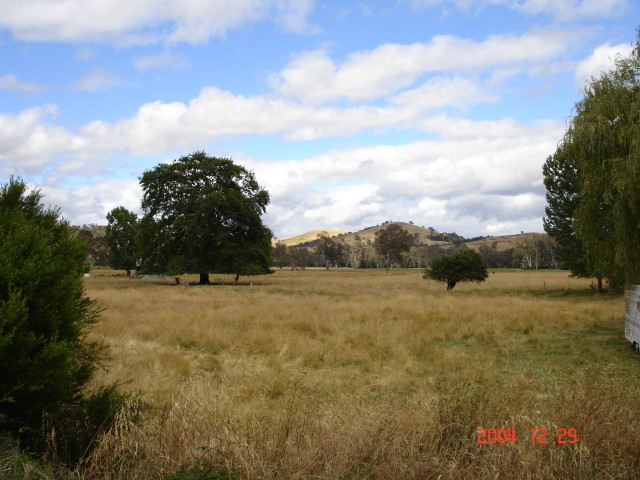 img0819.jpg