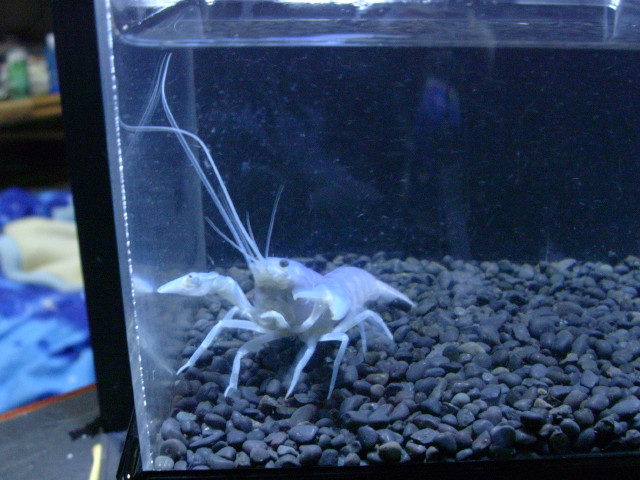 img0849.jpg