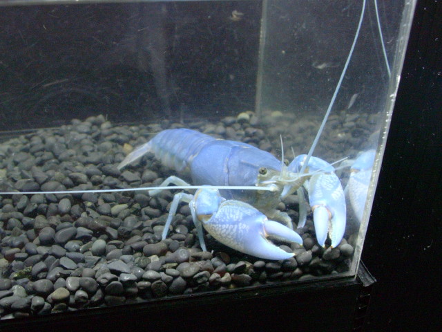 img0851.jpg