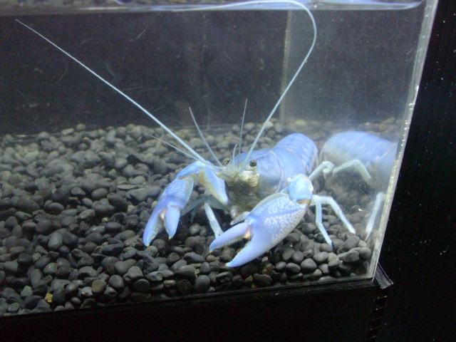 img0854.jpg