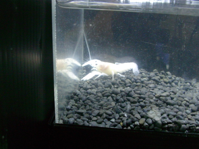 img0857.jpg