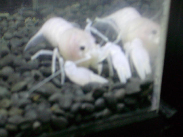 img0860.jpg
