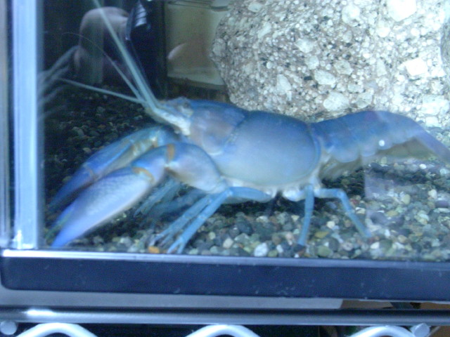img0892.jpg
