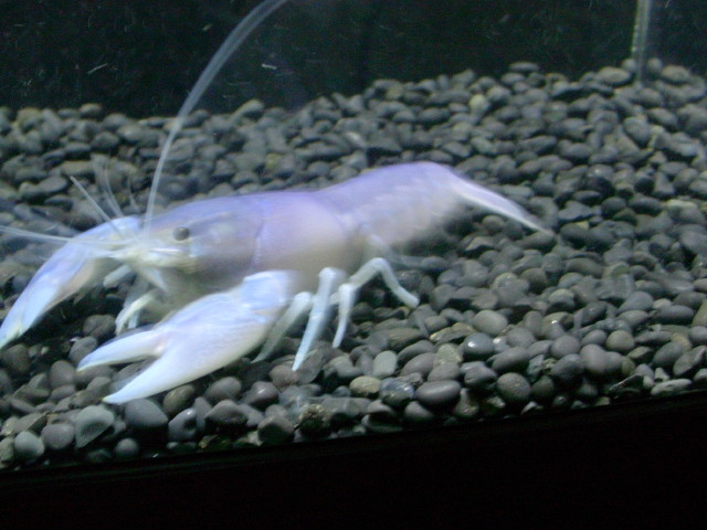 img0897.jpg