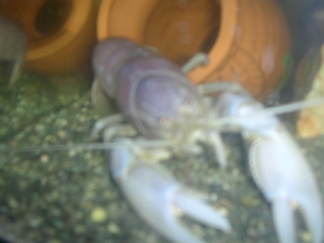 img0914.jpg