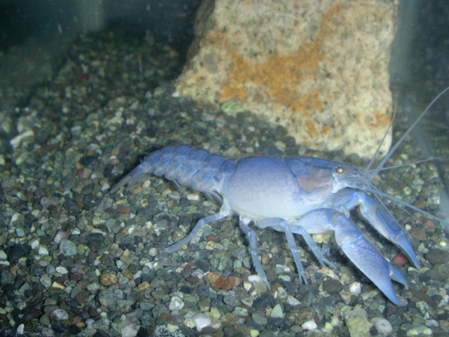 img0916.jpg