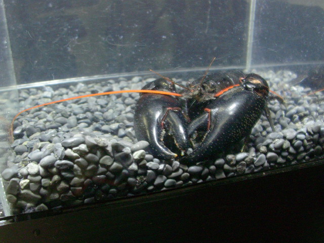 img0926.jpg