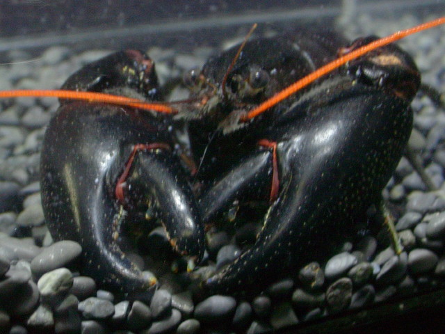 img0927.jpg