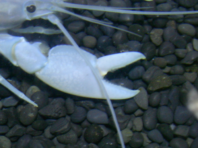 img0935.jpg