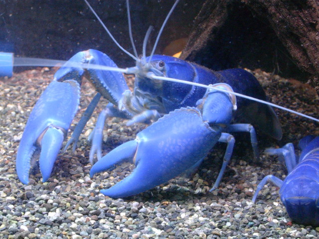 img0970.jpg