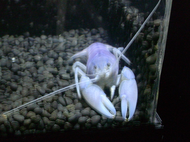 img0976.jpg