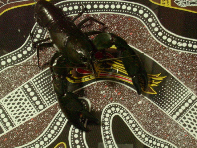 img0989.jpg
