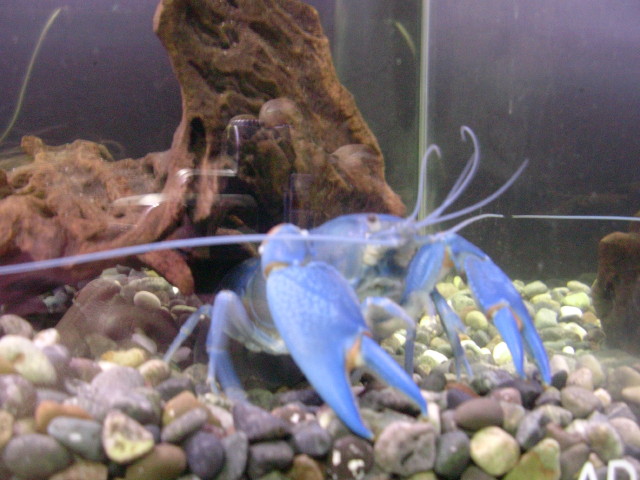 img0038.jpg