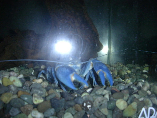 img0041.jpg