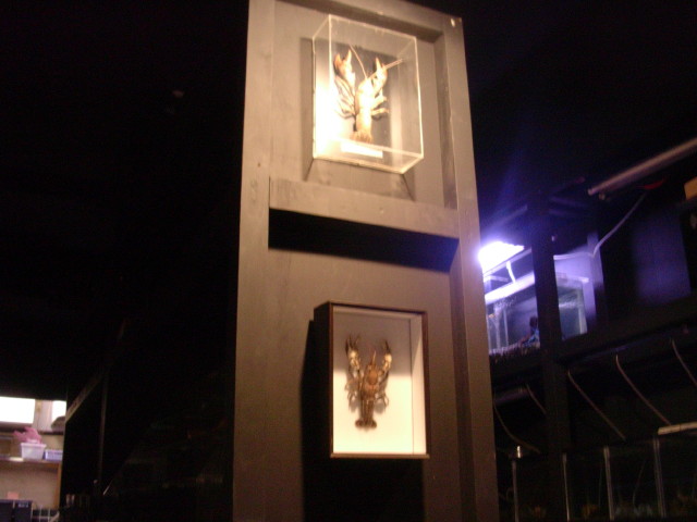 img0061.jpg